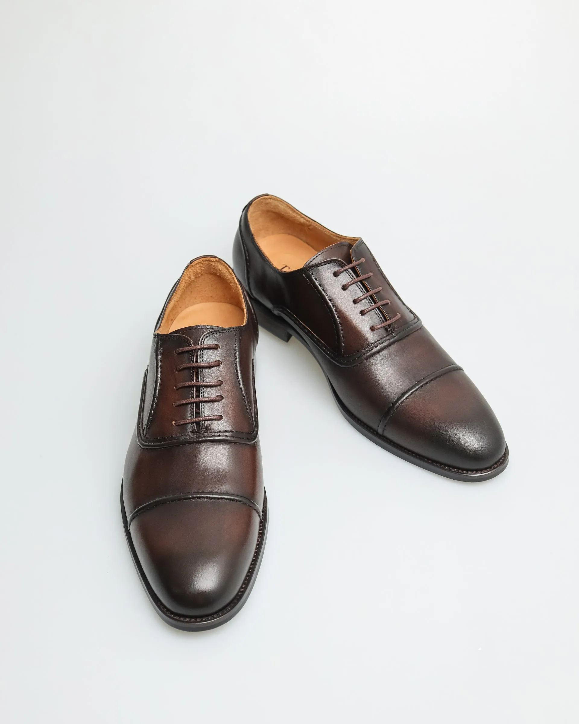 Tomaz F356 Men's Cap Toe Oxford (Coffee)